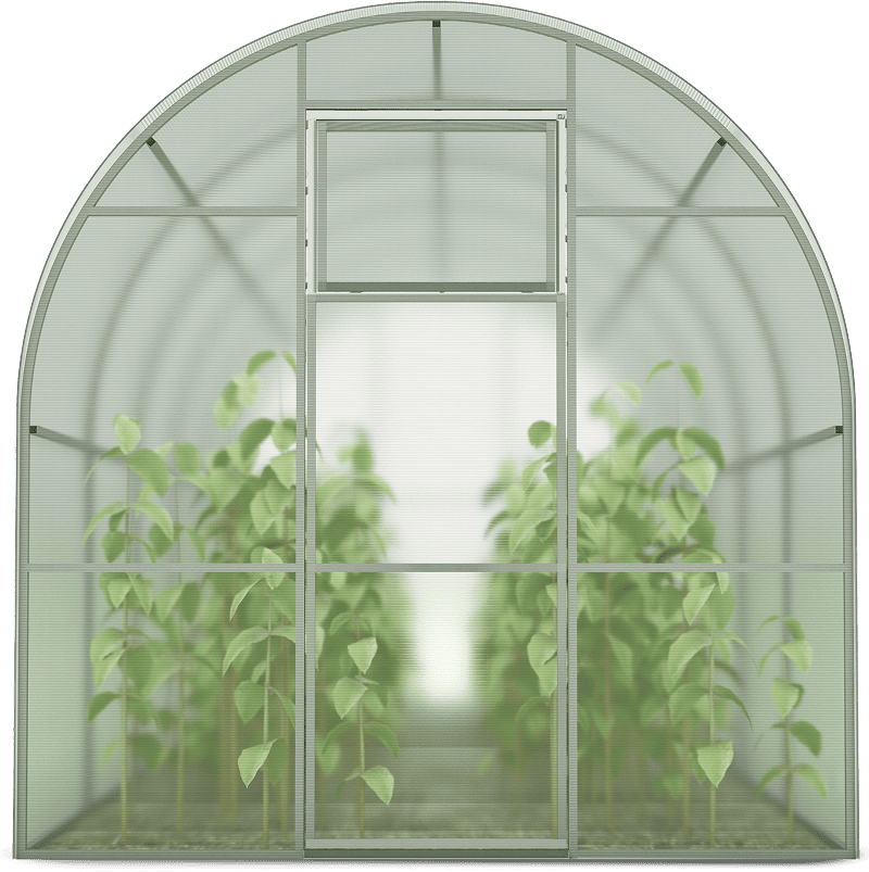 Ein Gewächshaus mit verschiedenen Pflanzen, die gesund und üppig im Inneren wachsen.